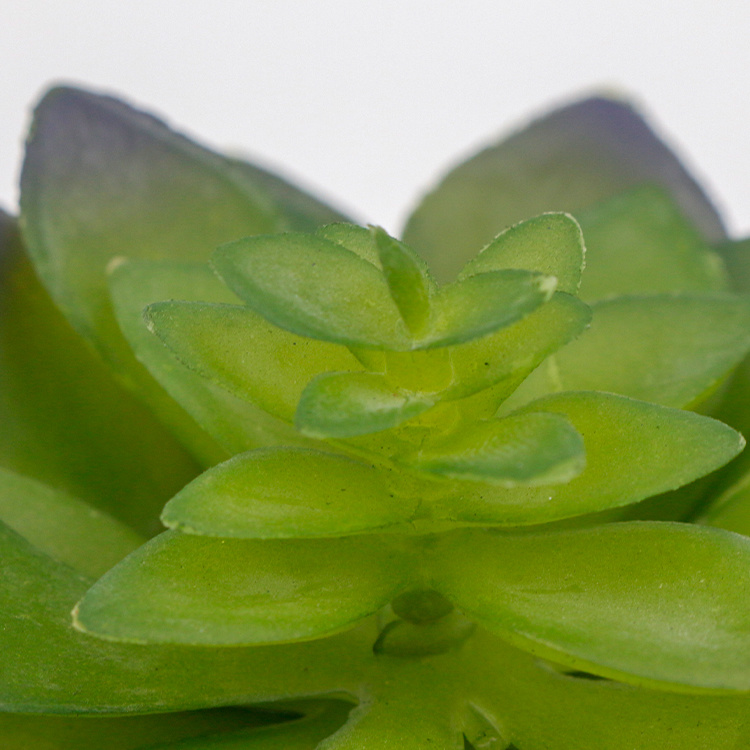Wholesale-Artificial-Succulent-Plant-Mini-Succulents-for-Home-Hotel-Decorations (2).jpg 